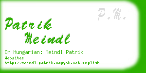 patrik meindl business card